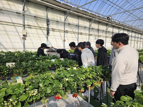 그린팜스글로벌, '2026 청년농업인 장기 교육' 실시.. 스마트팜 정착 '올인원' 지원