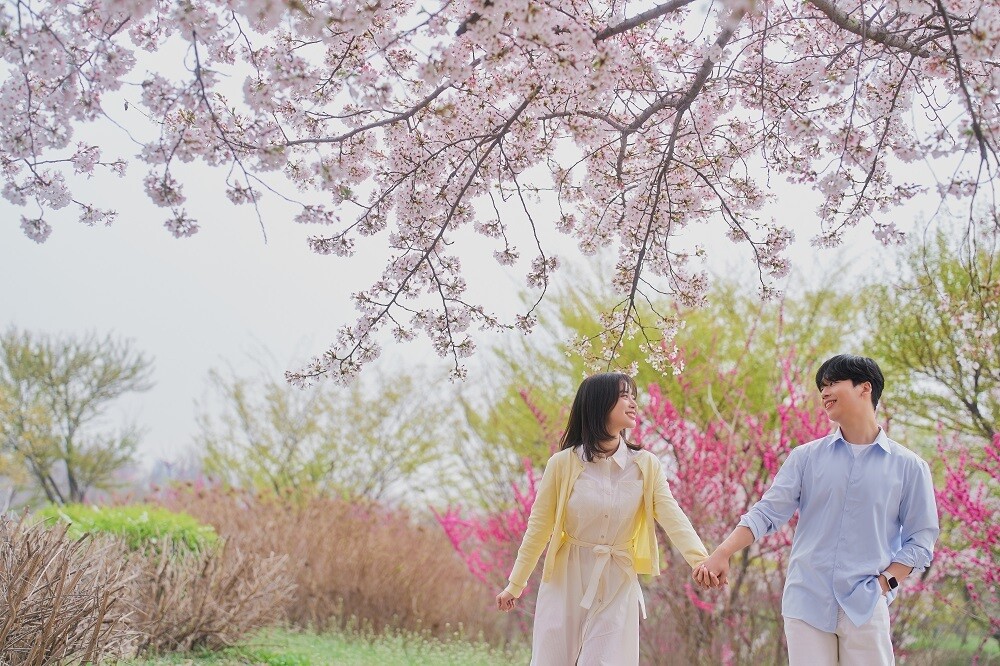 결혼정보회사 듀오, “봄 데이트는 여기”…서울·경기 핫플 제안