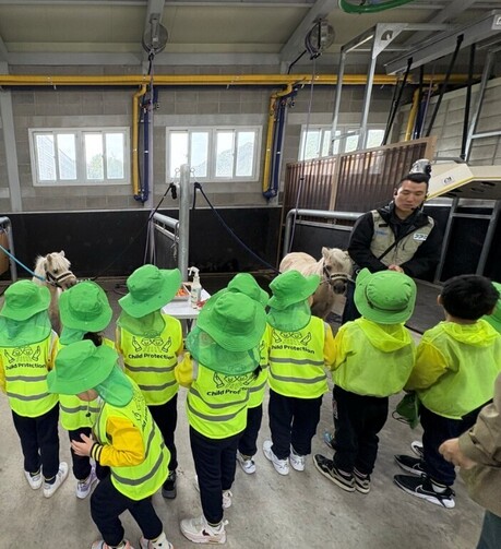 “전액 무료·선착순 3천명”…경기도 어린이 말 체험, 31일 접수