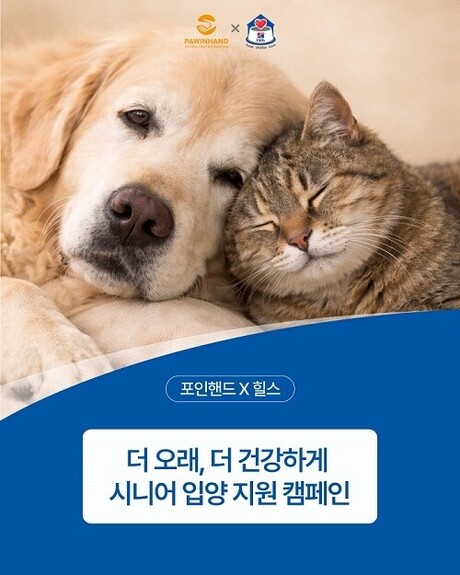 힐스코리아·포인핸드, 입양 사각지대 놓인 시니어 반려동물 지원 나서