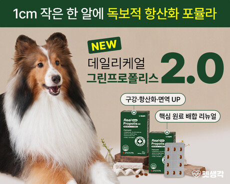 펫생각, 반려동물 영양제 ‘리얼 그린프로폴리스 2.0’ 리뉴얼 출시